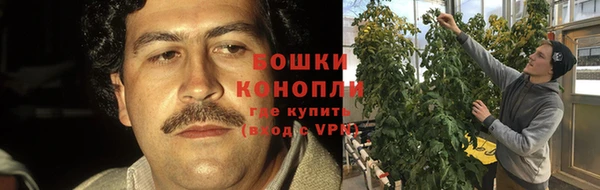 прущие крисы Наволоки