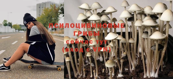 прущая мука Белокуриха